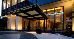 The Ritz-Carlton  (D9), Condominium #636808491